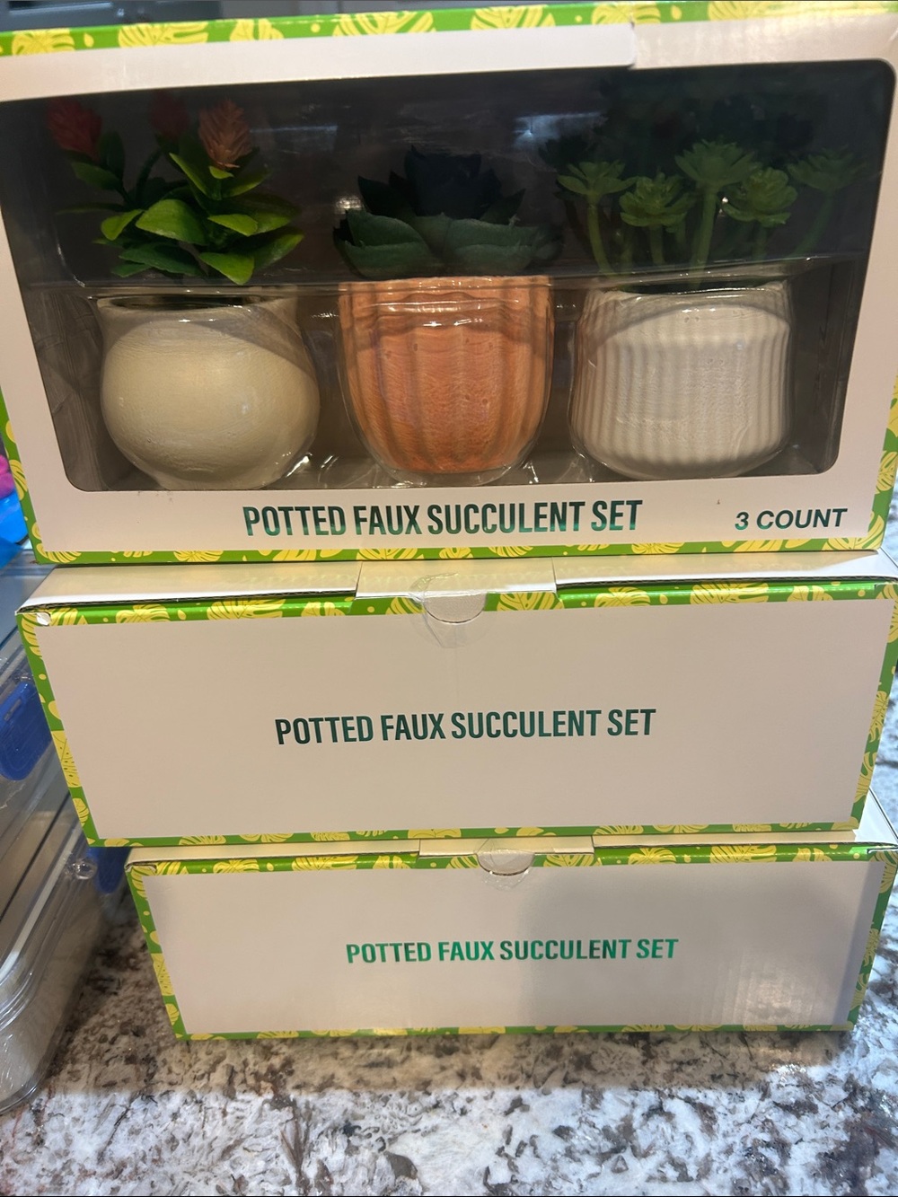 FESTIVE VOICE PITTED FAUX SUCCULENT SET NWT